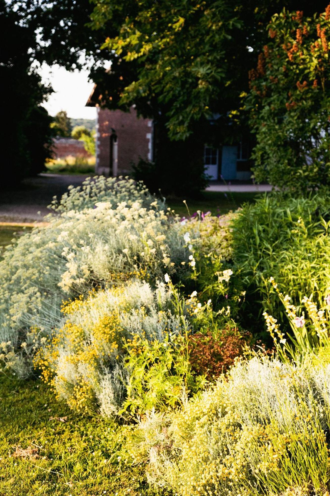 Radepont Le Chateau De Bonnemare - Bed And Breakfast المظهر الخارجي الصورة